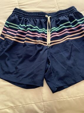 Men's Navy Swim Trunks with Pastel Stripe Detail Men XL